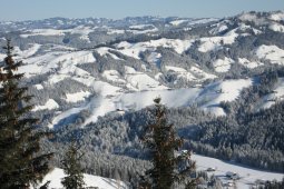 Bergklub: Blueme (Heiligenschwendi) (1392 m.ü.M.)